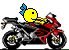 biker01